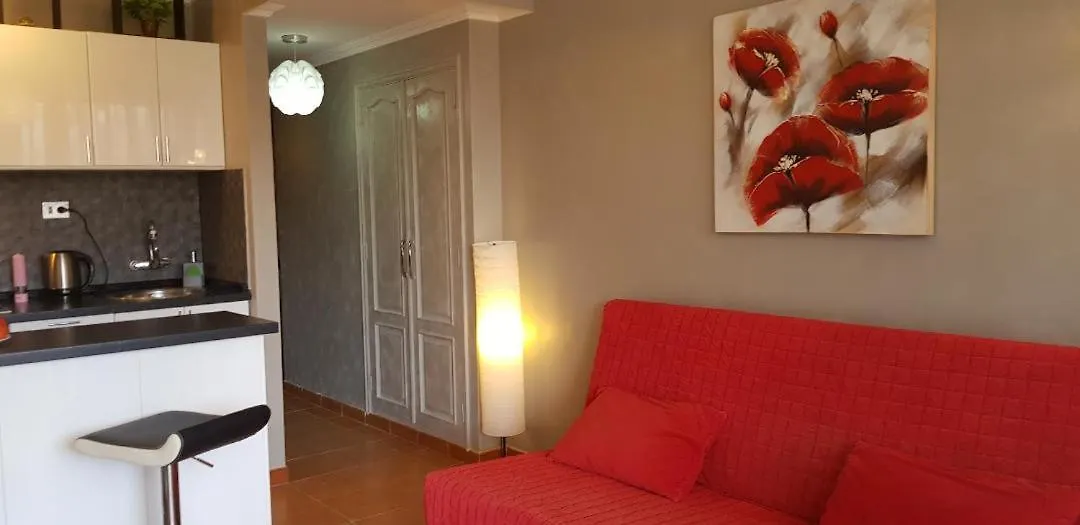 5 Min Walk To Gold Mile And 7Min To Best Las Americas Beach Wifi Arona  Arona (Tenerife)